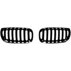 LKQ - '04-'06 BMW X3 Passenger Side Grille