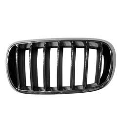 '14-'18 BMW X5 Driver Side Grille